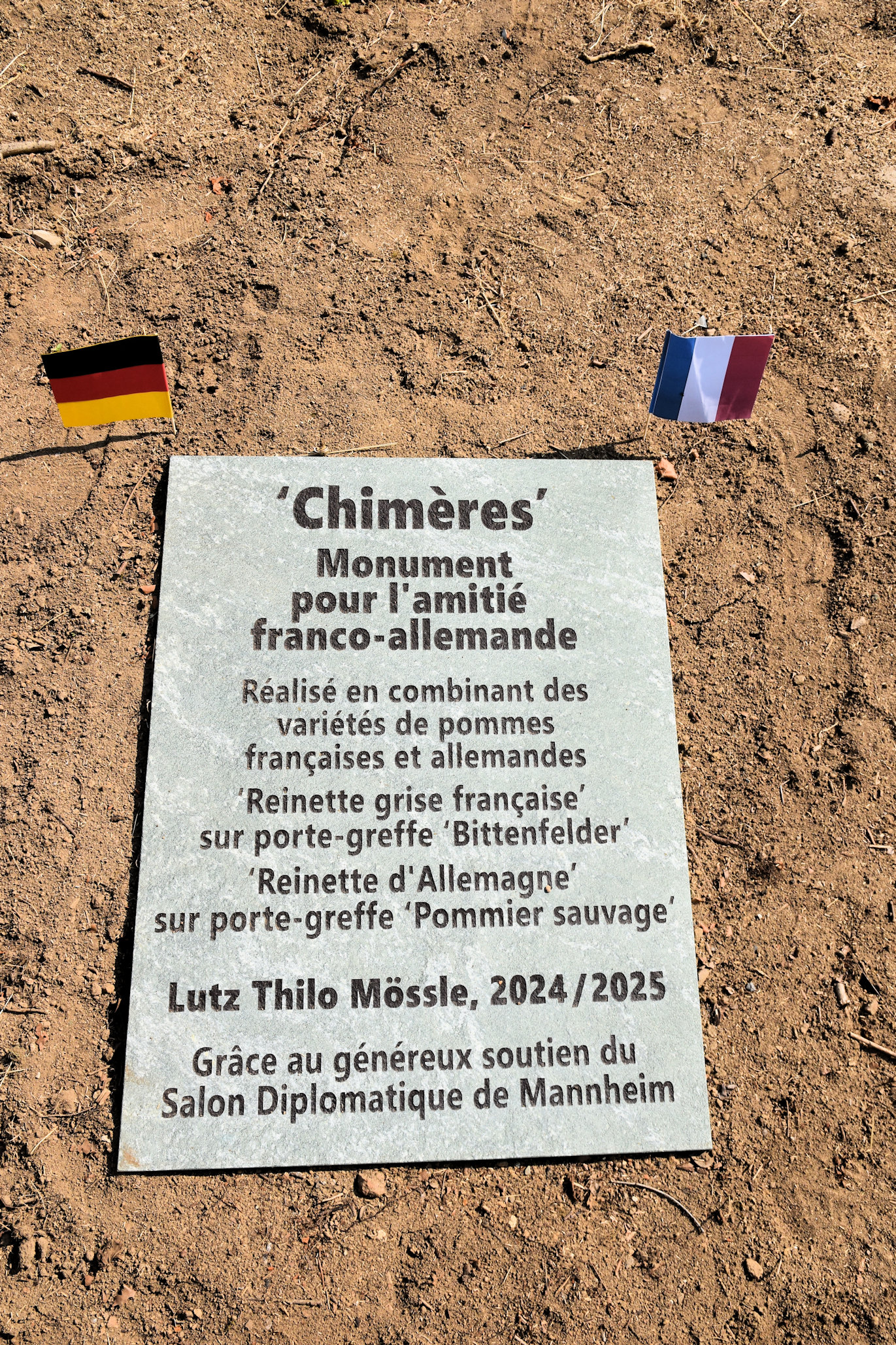 Erläuterung zu den Chimären Apfelbäumen