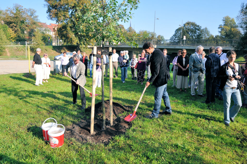 Pflanzung der Partnerschaftseiche