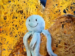 2024_Bury_02_Steiff_024