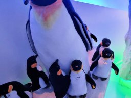 2024_Bury_02_Steiff_026