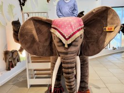 2024_Bury_02_Steiff_035