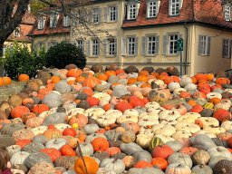 2024_Bury_05_Ausfluege_077