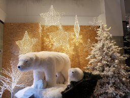 2024_Bury_06_Stuttgart_112