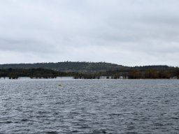 2024_Kahla_08_101_Geiseltalsee