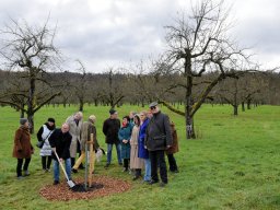 Baumpflanzung Schorndorf 011