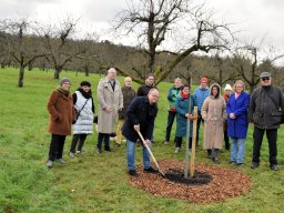 Baumpflanzung Schorndorf 012