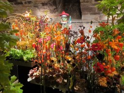 2019 Besuch aus Tuscaloosa und Kahla - 130