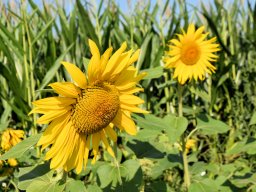 2019 Besuch aus Tuscaloosa und Kahla - 143