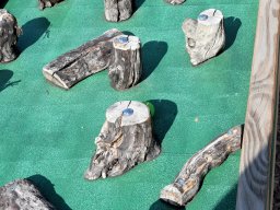 2019 Besuch aus Tuscaloosa und Kahla - 154