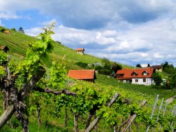 Doppeljubiläum Tulle und Bury - 221