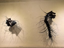 2024 Antrittsbesuch OB in Tulle - 102