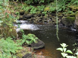 2024 Antrittsbesuch OB in Tulle - 139