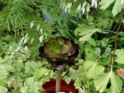 2024 Antrittsbesuch OB in Tulle - 154