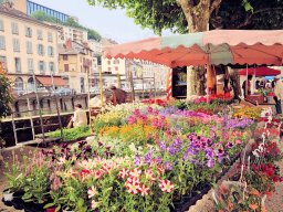 Tulle 2024 - 05.227 Impressionen