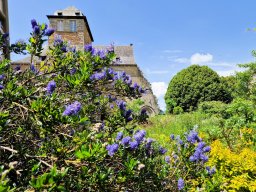 Tulle 2024 - 08.282 Aubazine