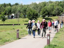 Tulle 2024 - 11.424 Puy de Dome