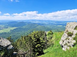 Tulle 2024 - 11.440 Puy de Dome