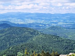 Tulle 2024 - 11.441 Puy de Dome