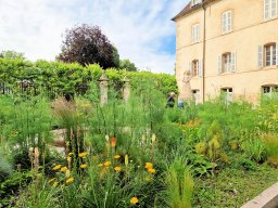 Tulle 2024 - 12.462 Beaune