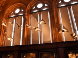 2019 200 Jahrfeier Tuscaloosa - 275