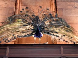 2019 200 Jahrfeier Tuscaloosa - 278