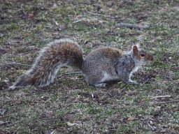 2019 200 Jahrfeier Tuscaloosa - 300